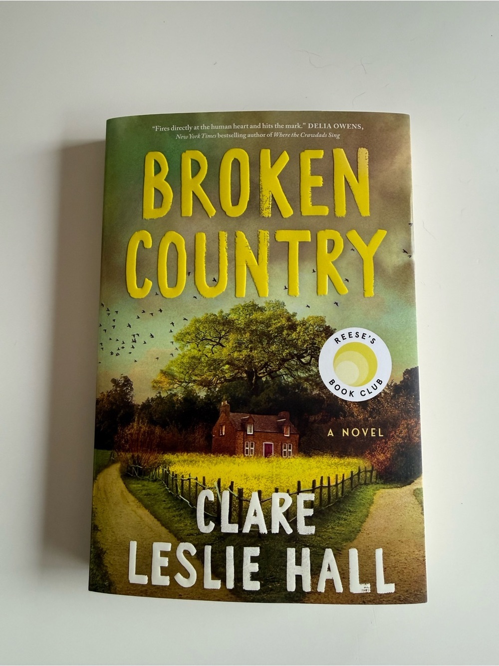 Broken Country | by Clare Leslie Hall